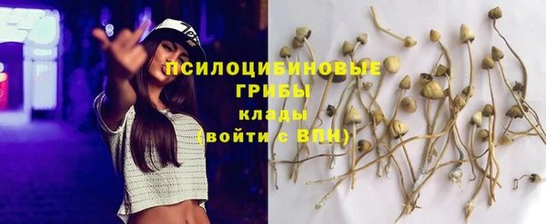 спиды Ростов