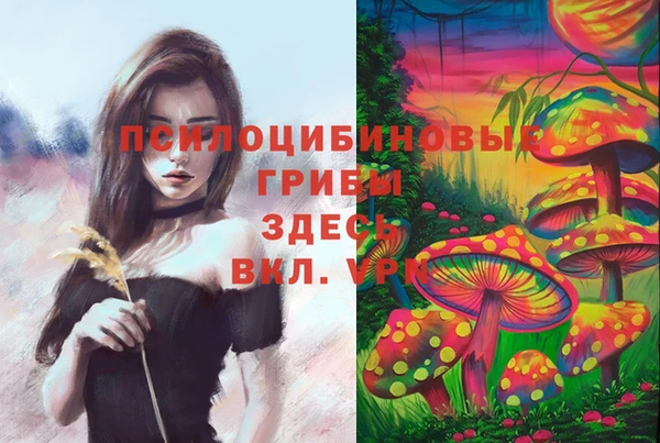 марихуана Абаза