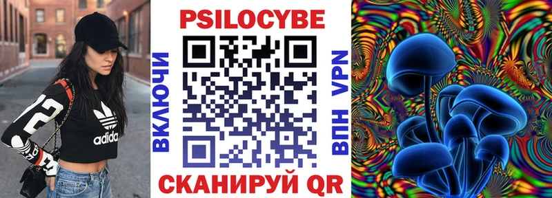 мега как зайти  Агрыз  Псилоцибиновые грибы Magic Shrooms  хочу наркоту 